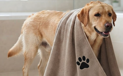Serviette Microfibre Animaux