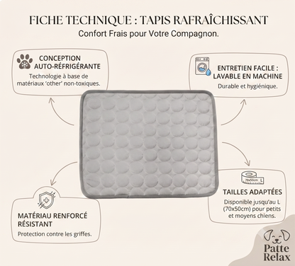 Tapis Effet Glaçon pour Animaux